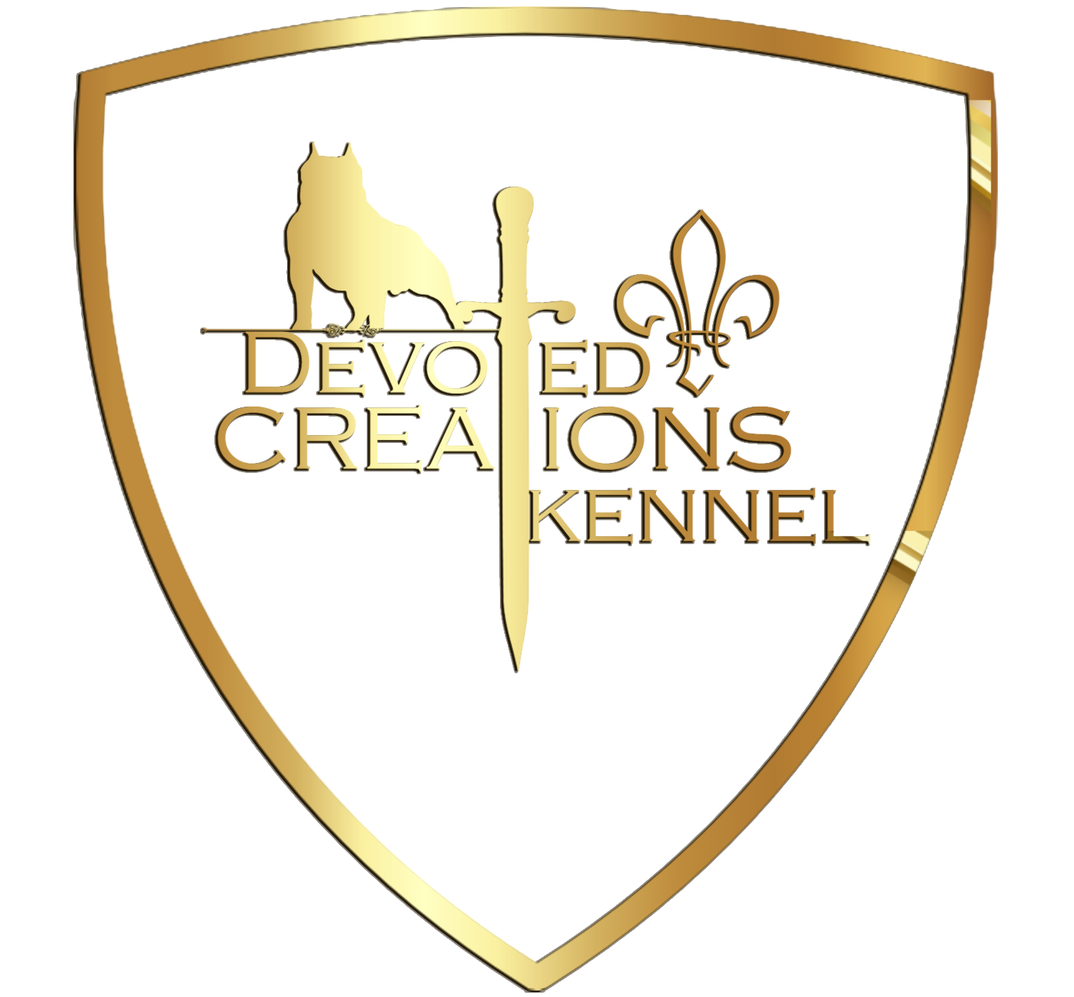 Footer Logo