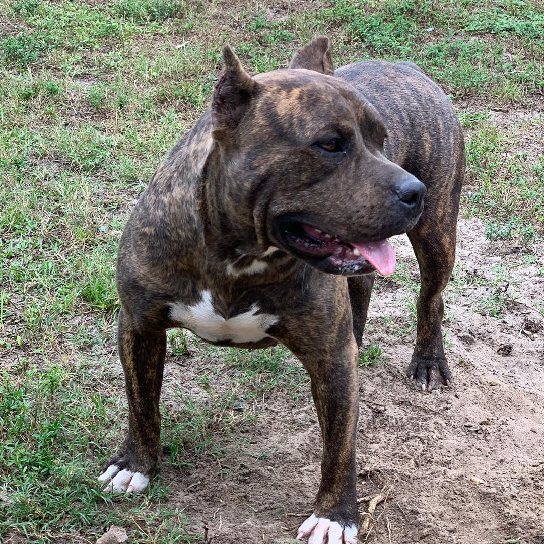 Read more about the article Cleo